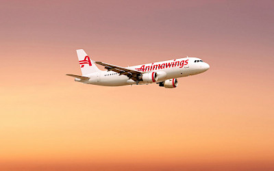 Animawings - Airbus A320