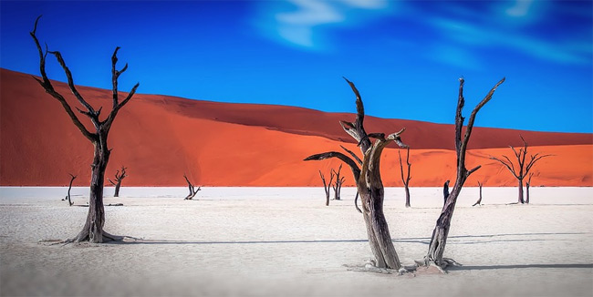 Namibie - Deadvlei