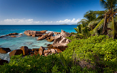 Pobřeží Seychelských ostrovů (foto: Svein-Magne Tunli - tunliweb.no/Wikimedia Commons - CC BY-SA 4.0)