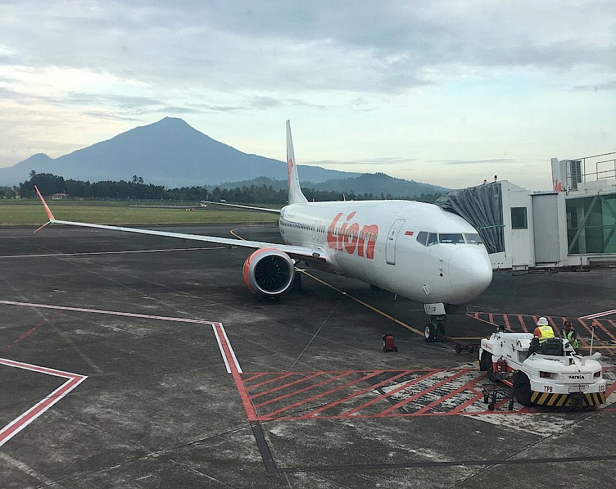 Boeing 737 MAX 8 společnosti Lion Air (foto: Juxlos/Wikimedia Commons - CC BY-SA 4.0)