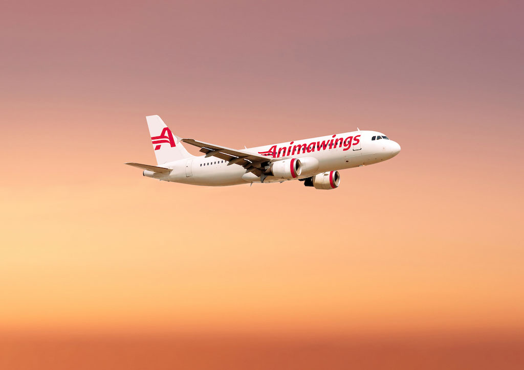 Animawings - Airbus A320
